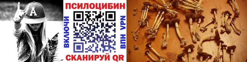 Галлюциногенные грибы Psilocybine cubensis  KRAKEN ONION  Каменск-Уральский 