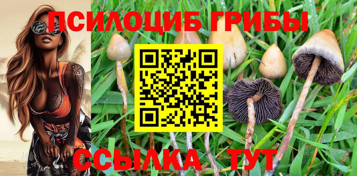 Каменск-Уральский  Псилоцибиновые грибы Psilocybe  Вход с VPN 